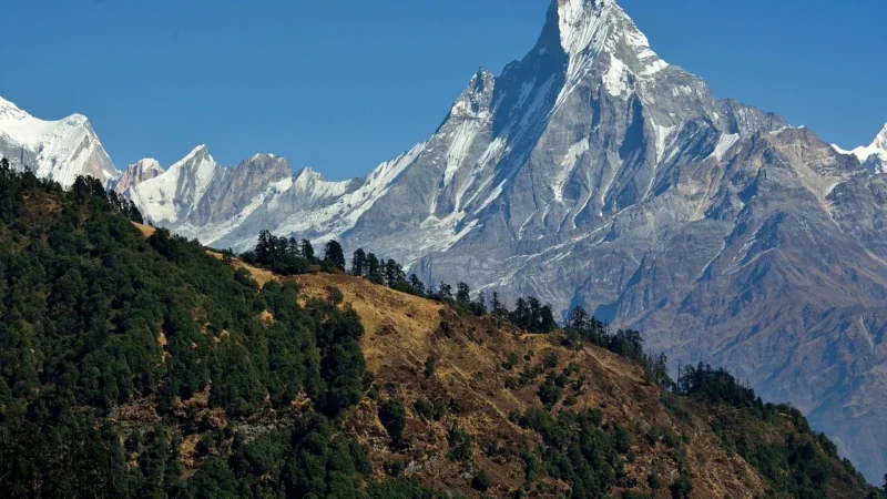 Kawa Nepal Himalaya Supreme 250g