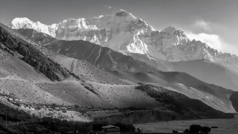 Kawa Nepal Himalaya Supreme Mielona Średnio