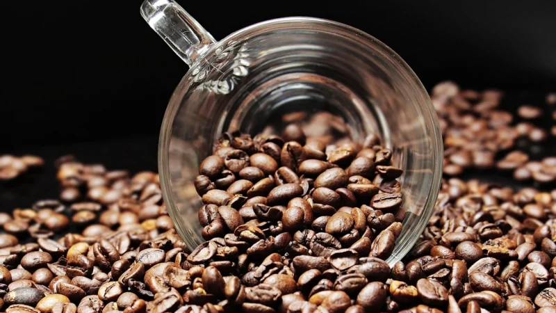 Kawa Robusta Uganda 250g