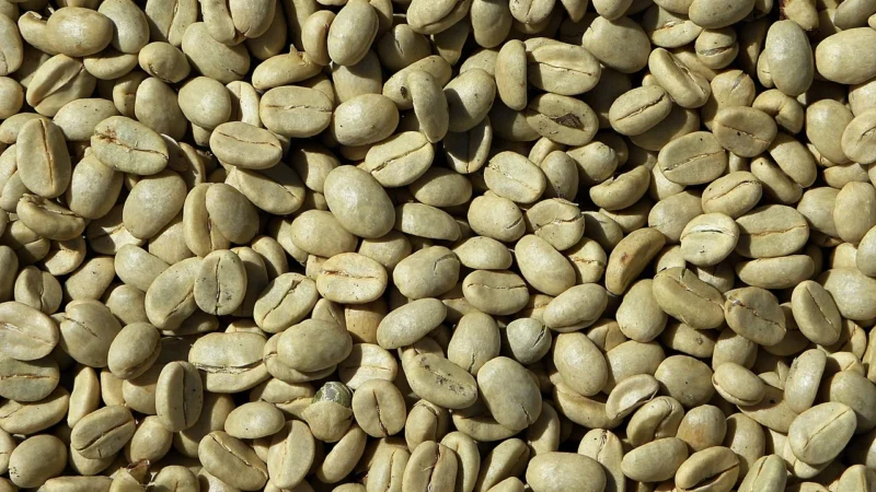 Kawa Ziarnista 1kg Arabika Blend 99 Świeżo Palona