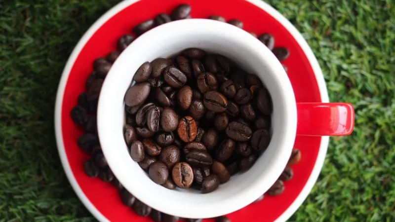 Kawa Ziarnista Brazylia Świeżo Palona Arabica 250g