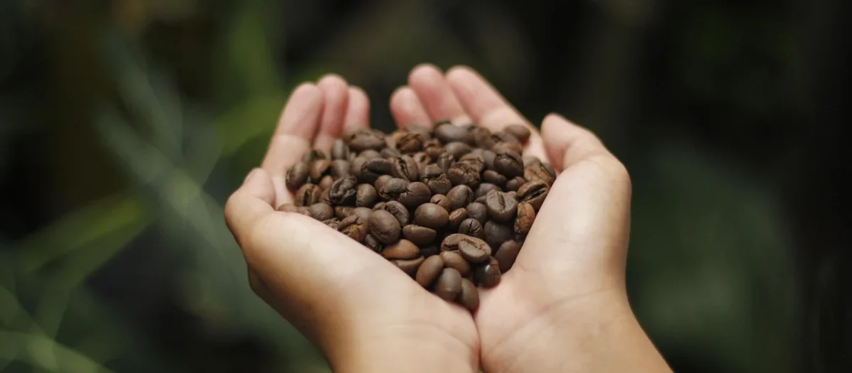 Kawa Ziarnista Espresso Blend Arkom 1kg