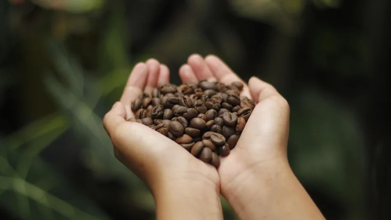 Kawa Ziarnista Espresso Blend Arkom 1kg