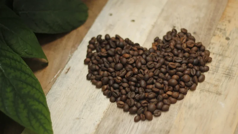 Kawa Ziarnista Espresso Original Blend Gratisy