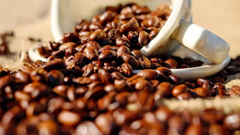 Kawa Ziarnista Mk Cafe Premium 8Kg 100% Arabika