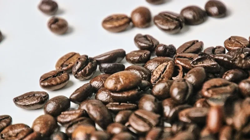 Kawa Ziarnista Robusta 100% Kawa Świeżo Palona