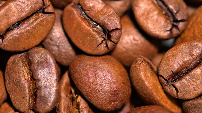 Kawa Ziarnista Świeżo Palona Africa 1000g