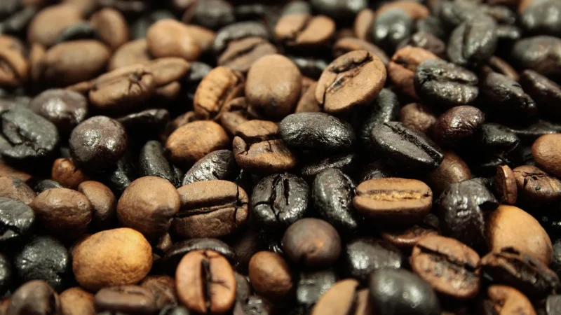Kawa Ziarnista Świeżo Palona Kenia 100% Arabica