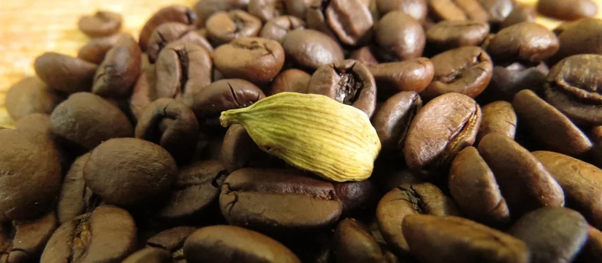 Kawa Zielona Mielona Kardamonowa 100g