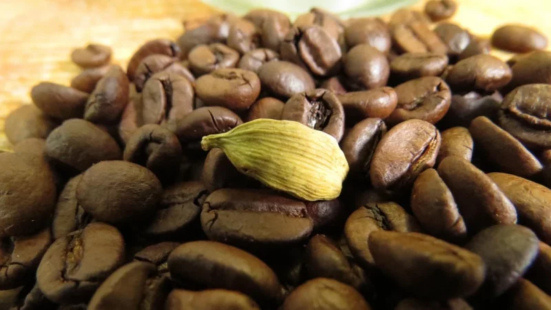 Kawa Zielona Mielona Kardamonowa 100g