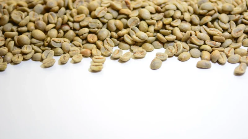 Kawa Zielona Ziarnista Robusta 1kg Naturalna