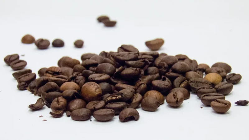 Kusy Coffee Kawa Ziarnista Speciality 100% Arabika Mexico Maragogype 1kg