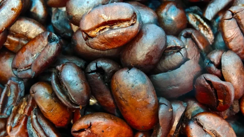 Kusycoffee Kawa Ziarnista Mexico Maragogype Świeżo Palona500g