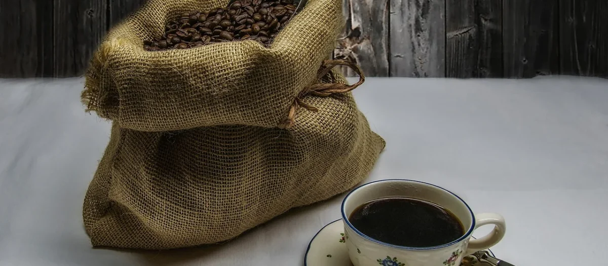 Kusycoffee Zestaw Degustacyjny Kawa Ziarnista Speciality 2 x 500g
