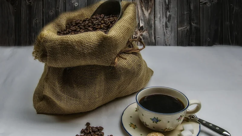 Kusycoffee Zestaw Degustacyjny Kawa Ziarnista Speciality 2 x 500g