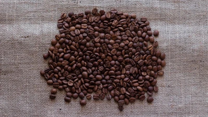 Lacava Kawa Ziarnista Guatemala Finca Medina 1000g