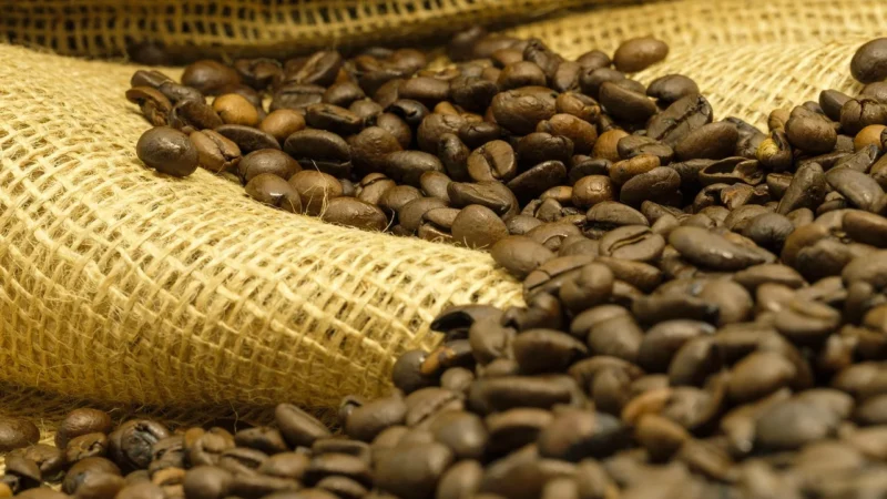 Los Gustos Kawa Ziarnista Świeżo Palona Zestaw 6x250g