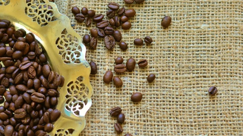 Maestrocafe Kawa Ziarnista Maestro Speciale Costa Rica 1kg
