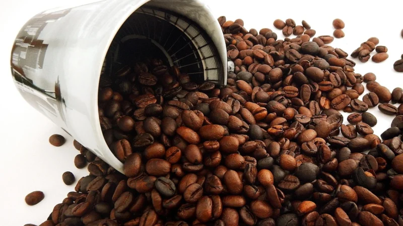 Magnificent Coffee Kawa Ziarnista 500g Świeżo Palona Espresso Arabica