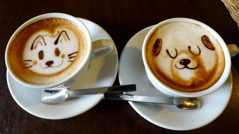 Movenpick Latte Art 1kg Kawa Ziarnista