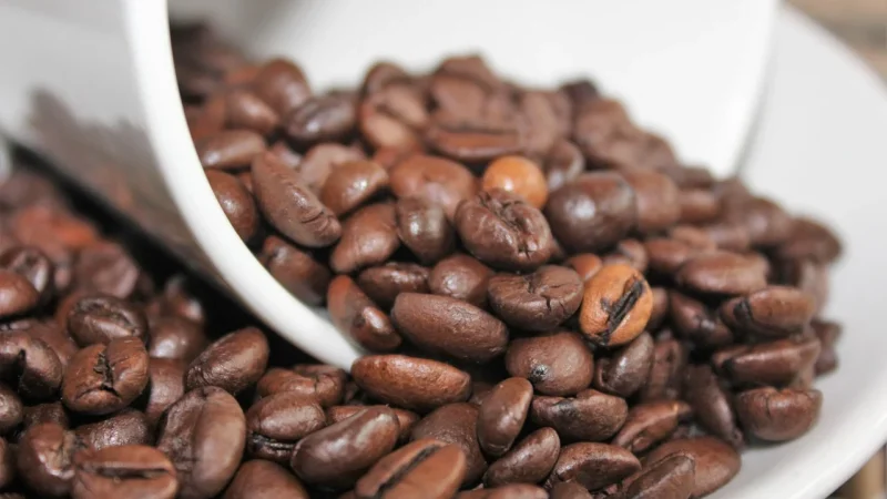 Nigra Premium Coffee Kawa Ziarnista Świeżo Palona Honduras 1kg Arabika