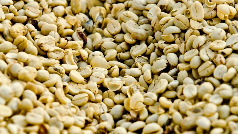 One Food Kawa Gwatemala Antigua Shb 1kg Ziarnista