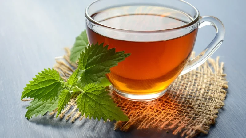 Organiczna Herbata Ziołowa Harmonia Ciała I Duszy