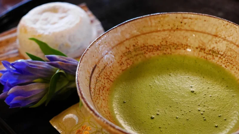 Organiczna Japońska Matcha Ceremonialna 100g