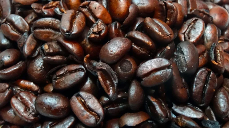 Papillon Coffee Kawa Meksyk Shg Organic Ziarna 1kg