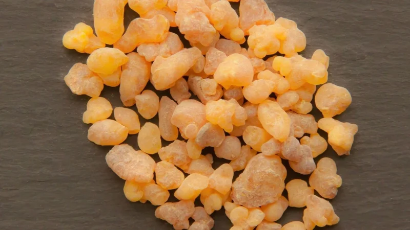 Piernikowa nuta (Pakowanie ozdobne, Rożek celofanowy 35g)