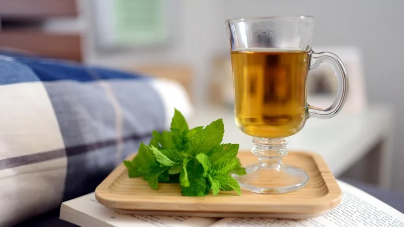 Pracownia Ziół I Zdrowej Żywności Herbata Zielona Sencha 100g