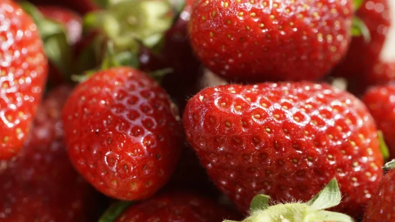 Progressive Belgijskie Truskawki (Pakowanie Ozdobne, Złota Torebka 40g)