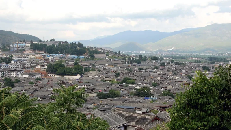 Progressive Lu Cha Yunnan (Pakowanie ozdobne, Rożek celofanowy 40g)