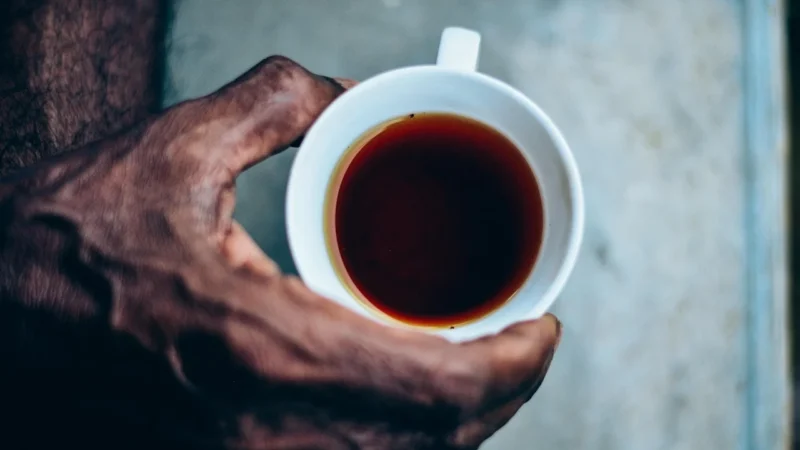 Progressive Pu erh grejpfrutowy (Pakowanie ozdobne, Złota torebka 40g)