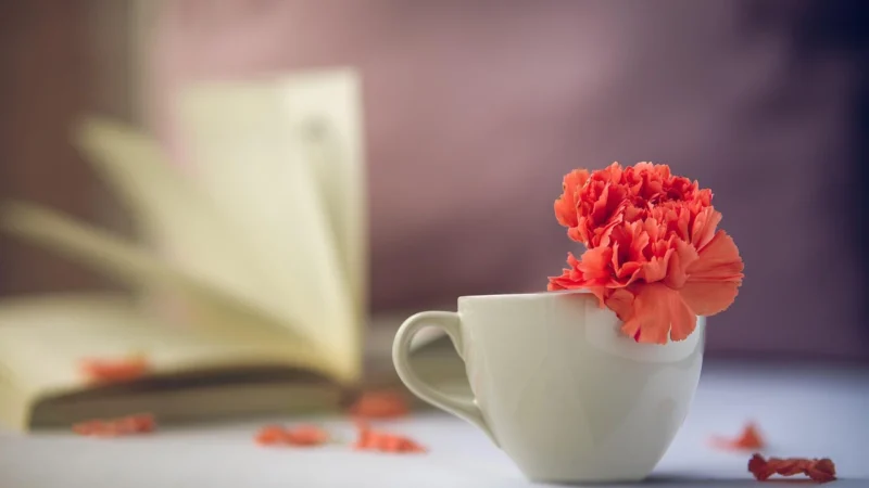 Progressive Pu Erh Ognista (Pakowanie Ozdobne, Złota Torebka 40g)