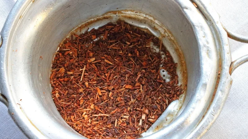 Progressive Pu Erh Porzeczkowy Puszka Eko 100g