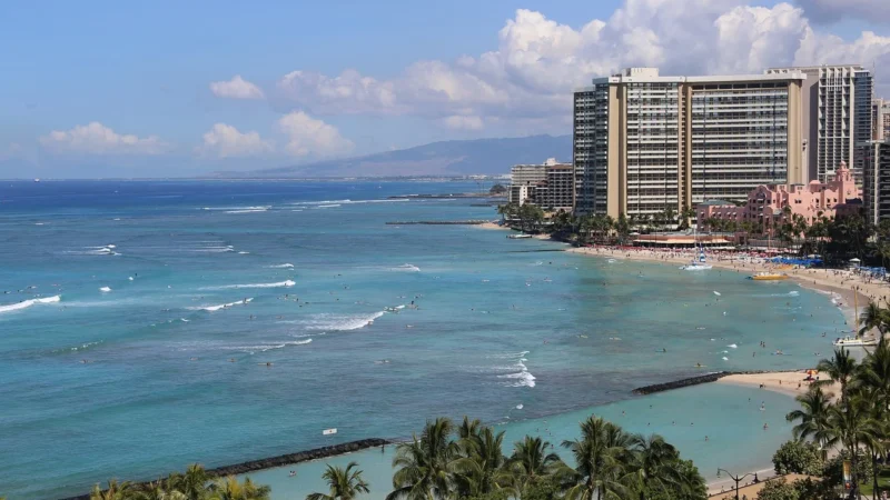 Progressive Waikiki Puszka Eko 80g