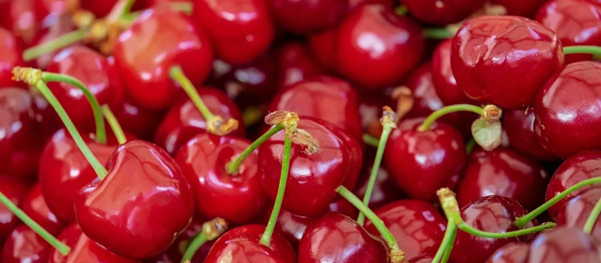 Progressive Wiśnie W Czekoladzie Puszka Czarna 80g