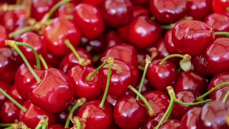 Progressive Wiśnie W Czekoladzie Puszka Czarna 80g