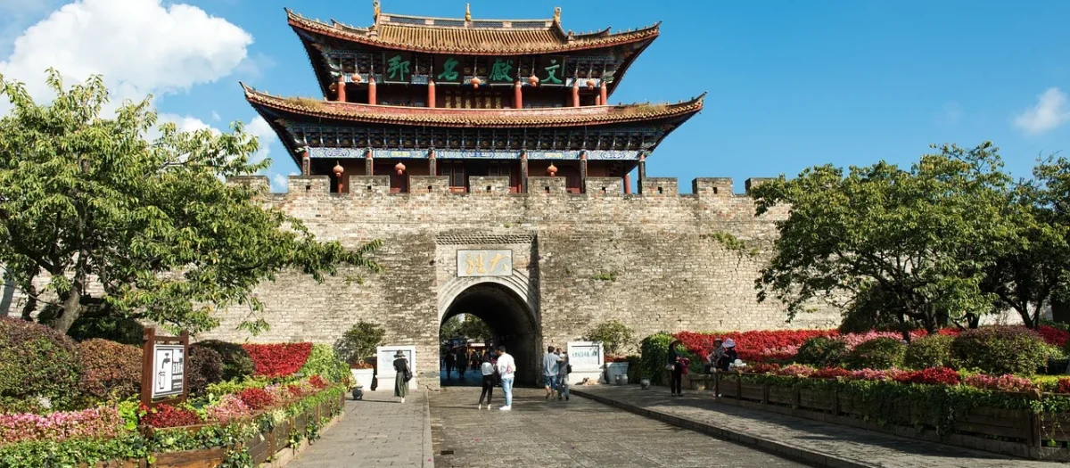 Progressive Zielony Yunnan Op Puszka Czarna 80g