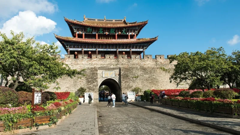 Progressive Zielony Yunnan Op Puszka Czarna 80g