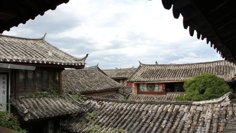 Progressive Zielony Yunnan Op Rożek Celofanowy 40g