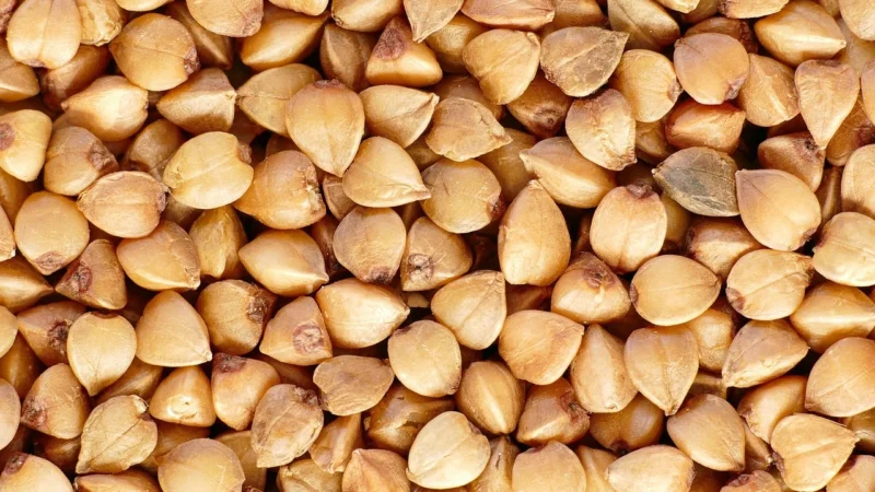 Pzz Kaszagryczana Prażona Cała 400g