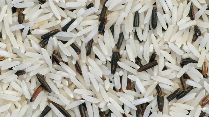 Ryż basmati 5kg