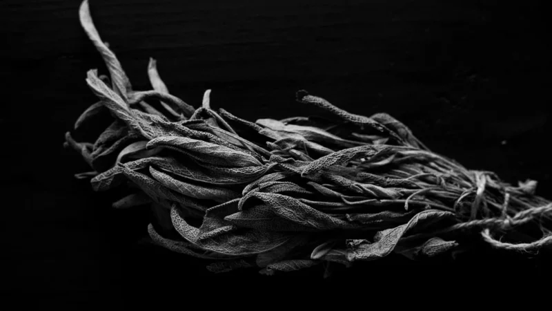 Snow dragon (Pakowanie ozdobne, Torebka transparentna 50g)