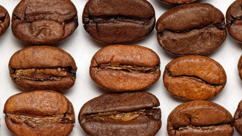 Starbucks Pike Place Medium Roast Ziarnista 6x200g