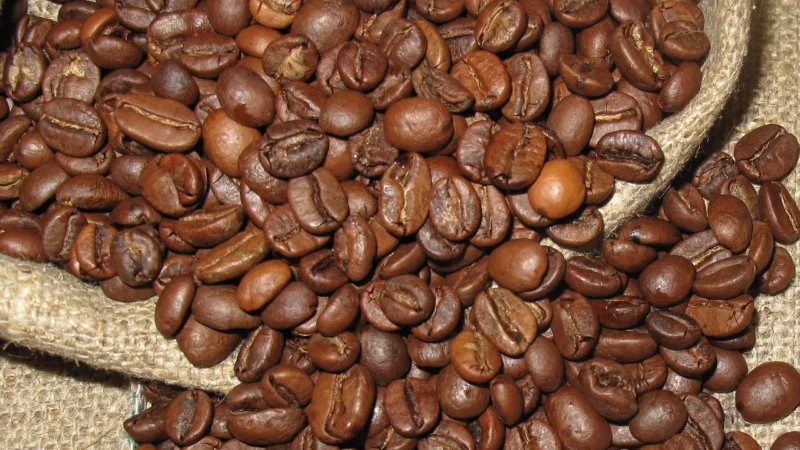 Świeżo Palona Arabika Robusta Polska Palarnia 250g