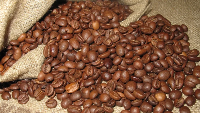 Świeżo Palona Kawa Ziarnista Delikatna Arabica 1kg