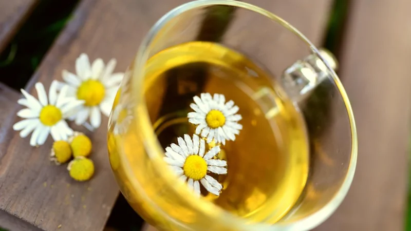 Teabag Ziołowa Herbata Power Of Herbs 100g – Żółta Tuba