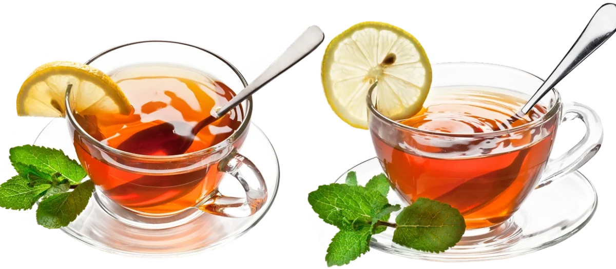 Teabag Ziołowa Herbata Queen Of Mint 50g – Zielona Tuba